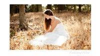 Enchanting Wood Wedding Photography 1066227 Image 0